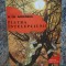 Hans Christian Andersen - Piatra intelepciunii