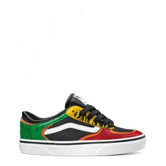 Tenisi unisex, Vans, ROWLEY-CLASSIC, VN0A4BTTXF11, Multicolor, 37 foto