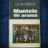 Cumpara ieftin MUNTELE DE ARAMA - ELENA MATASA