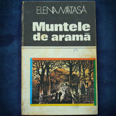 MUNTELE DE ARAMA - ELENA MATASA