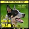 Australian Cattle Dog Training Think Like Me ...But Don&#039;t Eat Your Poop!: Here&#039;s Exactly How to Train Your Australian Cattle Dog