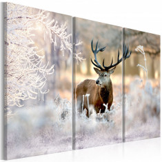 Tablou - Deer in the Cold I 120x80 cm