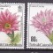 Turks Caicos 1981 flori cactusi MI 527-530 MNH