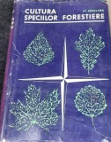 CULTURA SPECIILOR FORESTIERE