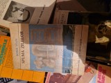 Spuma zilelor vintage