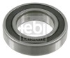 FEBI BILSTEIN 21985 Rulment, ax cardanic