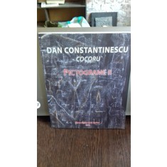 DAN CONSTANTINESCU - COCORUL. PICTOGRAME II