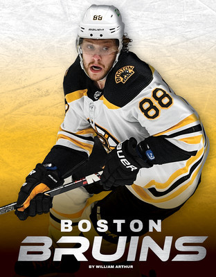 Boston Bruins foto