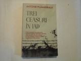TREI CEASURI IN IAD (editia a-2-a) - ANTONIE PLAMADEALA