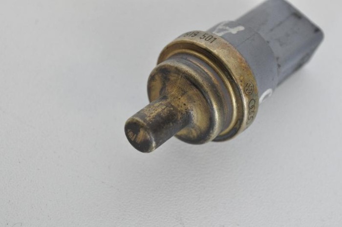 Senzor de temperatură VW PASSAT B6 3C2 2007 OEM: 06A919501 2425346