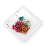 Decor pentru unghii, flori uscate D22