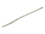 Bandă LED Alb Cald 2216 240 LED/m 8mm IP20 120&deg; KGP ELECTRONICS