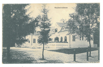 3939 - SIBIU, Romania - old postcard - unused - 1916 foto