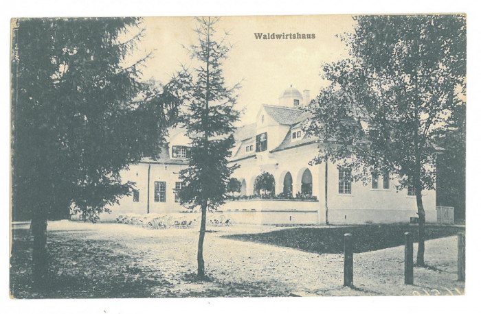3939 - SIBIU, Romania - old postcard - unused - 1916