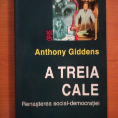 A TREIA CALE , RENASTEREA SOCIAL - DEMOCRATIEI de ANTHONY GIDDENS * PREZINTA HALOURI DE APA