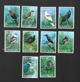 samoa pasari mnh
