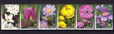 Cumpara ieftin ✅ RO 2019 LP 2250 " Patrimoniul Floristic al Rom&acirc;niei " , serie , MNH