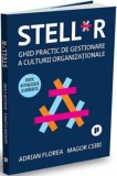 STELL*R. Ghid practic de gestionare a culturii organizationale - Adrian Florea, Publica