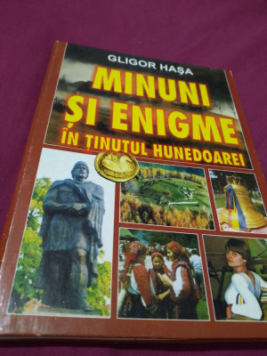 MINUNI SI ENIGME IN TINUTUL HUNEDOAREI -GLIGOR HASA foto