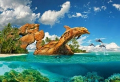 Puzzle Castorland - Dophin Paradise 1000 piese foto