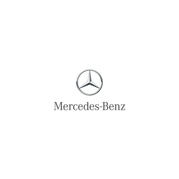 MERCEDES-BENZ A1638690820 rezervor apa,spalare parbriz