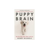 Puppy Brain: How Our Dogs Learn, Think, and Love