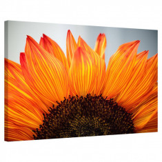Tablou Canvas, Tablofy, Sunflower, Printat Digital, 100 &times; 70 cm