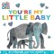 You&#039;re My Little Baby: A Touch-And-Feel Book