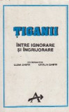 Tiganii - Intre Ignorare si Ingrijorare