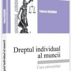 Dreptul individual al muncii. Curs universitar - Felicia Rosioru