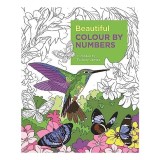 Beautiful Colour by Numbers