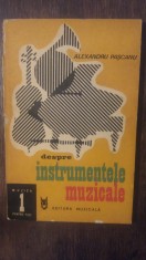 DESPRE INSTRUMENTELE MUZICALE- A. PASCANU