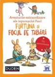Aventurile extraordinare ale iepurasului Paul. Furtuna si Focul de tabara - Didactica Publishing House