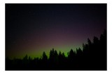 Tablou Canvas, "Aurora Boreală peste Pădurea Nocturnă", Stele, Cer, Pădure, Siluetă, Lumină, Verde, Noapte, Misterios, Tranquil, Natură, 39 x 26 cm, C