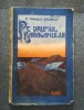 Pe drumul Bărăganului - C. Sandu-Aldea, Minerva 1908, Carte Veche