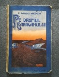Pe drumul Bărăganului - C. Sandu-Aldea, Minerva 1908, Carte Veche