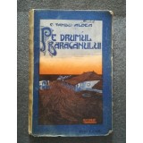C. Sandu-Aldea - Pe drumul Bărăganului (1908)