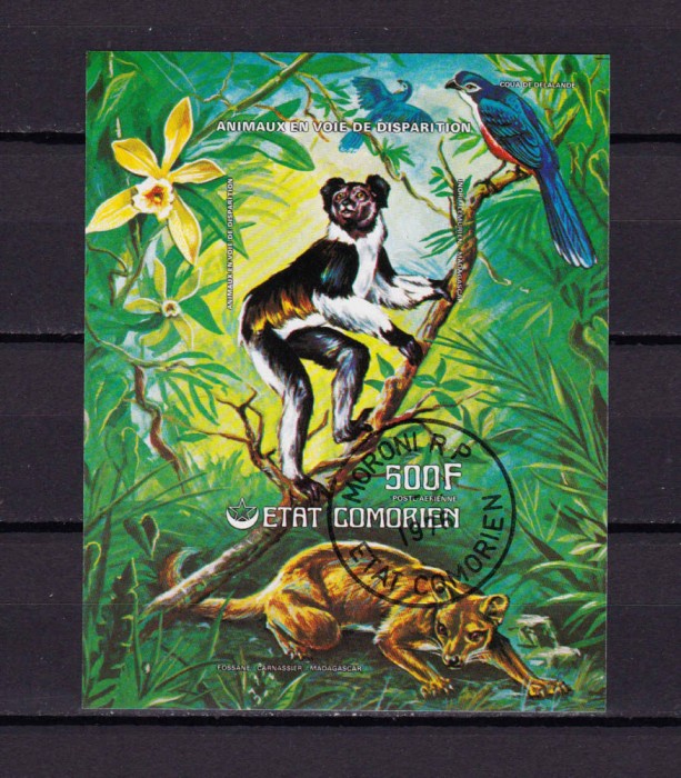 ✅(C44) 1976 Comore , &quot; Animale salbatice&quot; colita 69B nedantelata , stampilat