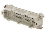Conector de Contact Tată HDC C146 Heavy Mate E