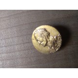 Insigna Personalitati Coanda