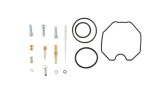 Chit reparatie carburatoe Can-Am DS 250 06- 21