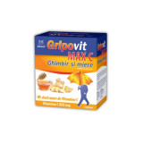 Gripovit max C ghimbir+miere, 10 plicuri, Zdrovit