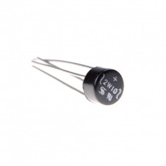 2W10 Punte diode