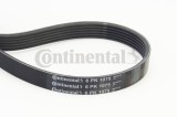 CONTINENTAL CTAM 6PK1075 Curea transmisie cu caneluri