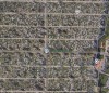 Cedez (vand) 2 locuri veci in Cimitirul Sfantul Lazar Galati