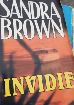 INVIDIE Sandra Brown foto