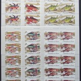 R.GUINEEA-PESTI TROPICALI-serie 12 V.-in bloc de 10 serii-MNH**-RG 152b
