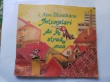Ana blandiana-intamplari de pe strada mea