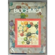 BIOCHIMICA di DONALD VOET e JUDITH G. VOET , 1997 , PREZINTA URME DE UZURA , SUBLINIATA CU MARKERUL * , TEXT IN LIMBA ITALIANA