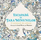 Escapada in Tara Minunilor. O aventura de colorat/***